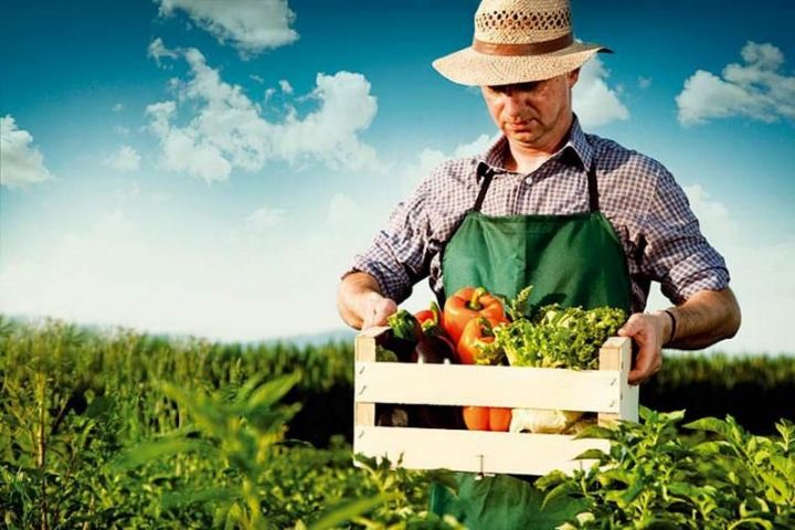 Аграрии Татарстана могут повысить свою квалификацию в ТИПКА