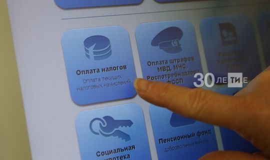 В систему «Народный контроль» в первом полугодии поступило почти 40 тыс. заявок