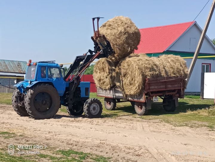 Алькеевский район: в Борискинском сельском поселении считают заготовку сена делом государственной важности