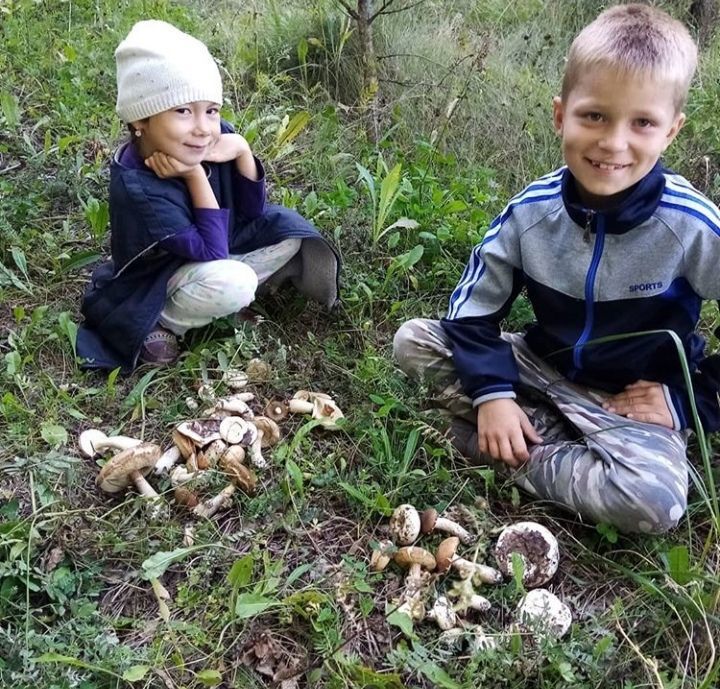 Алькеевский район: заядлый грибник Светлана Углева делится рецептом приготовления груздей