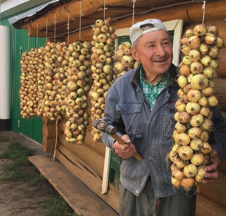 Сельские жители Татарстана, получившие бесплатные семена, радуются хорошему урожаю