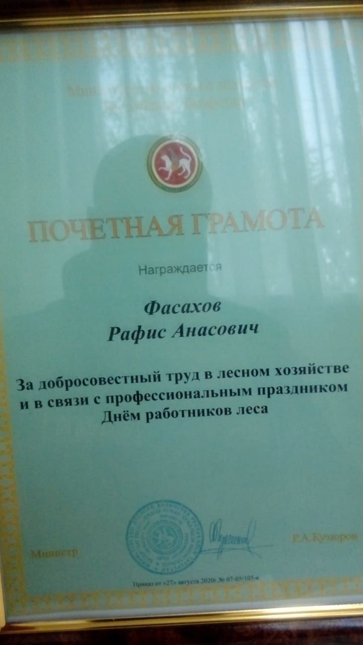 В Алькеевском районе наградили работников леса.