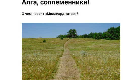 Группа журналистов из Казани запустила сайт «Миллиард.татар»