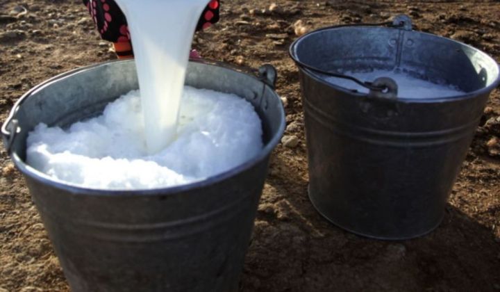 Алькеевский район: в 2020 году салмановцы сдали молока на 7 млн рублей