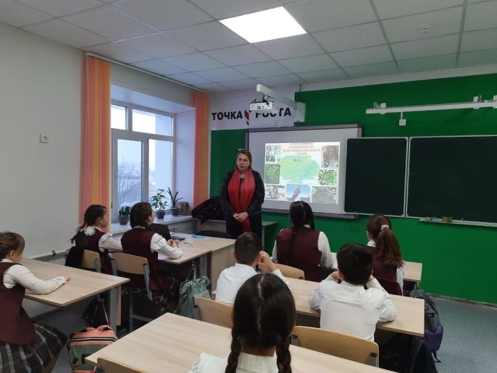В гимназии Алькеевского района провели открытый урок на тему «Берегите лес»