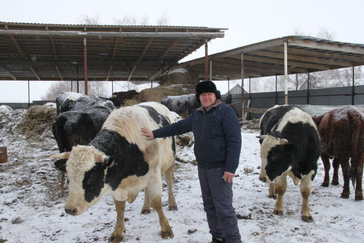 Борискино авылында яшәүче Михаил Свежов 100 баш терлеккә исәпләнгән фер­ма салырга хыяллана