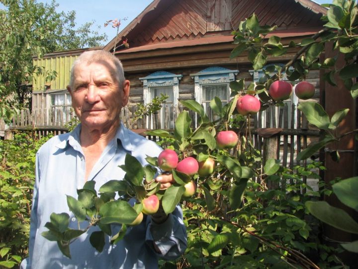 Участник Великой Отечественной войны Лев Миндрюков был  заядлым садоводом