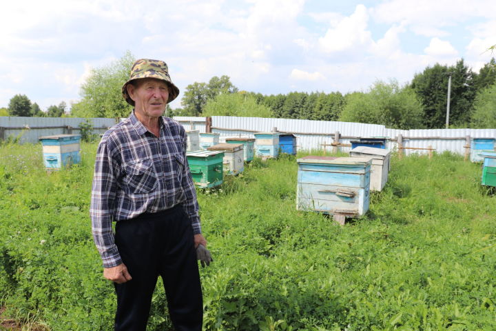 Салихзян Шарапов из села Базарные Матаки: «Пчеловодство – мое любимое занятие»
