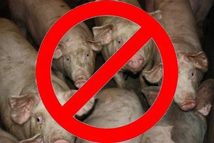 В Спасском районе подтвержден случай падежа свиней от африканской чумы