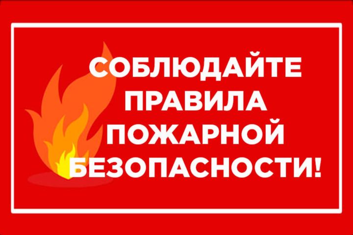 В нынешнем году в Алькеевском районе произошло 25 пожаров, на которых погибло 2 человека
