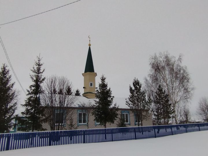 Утыз ел элек Яңа Салман авылында тантаналы төстә мәчет ачылды