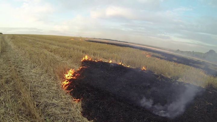 В Алькеевском районе увеличились случаи загорания  горением сухой травы