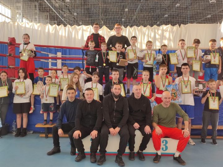 В Алькеевском районе прошел праздничный турнир по боксу