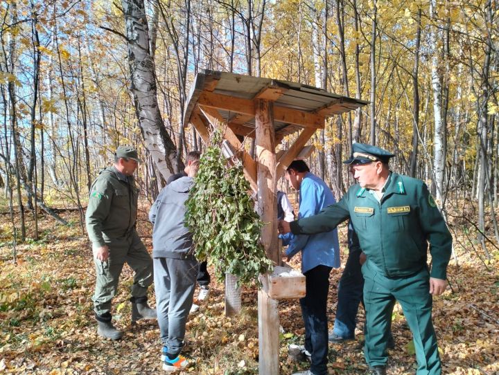 В охотхозяйстве «Хузангаевское» установили специальные кормушки и солонцы для косуль