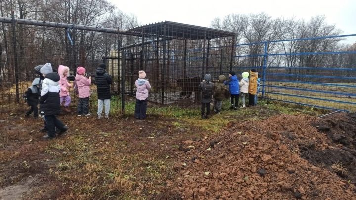 Дети пришкольного лагеря  Базарно-Матакской школы побывали на экскурсия в селе Сиктерме