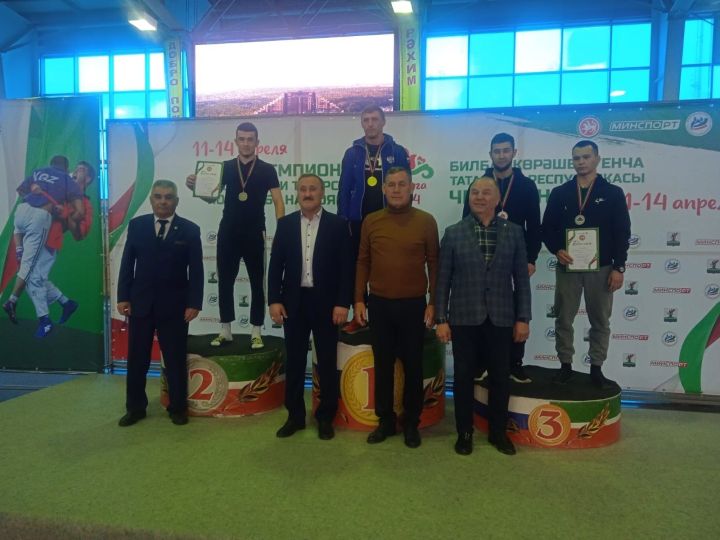 Алькеевские борцы заняли призовые места в чемпионате РТ