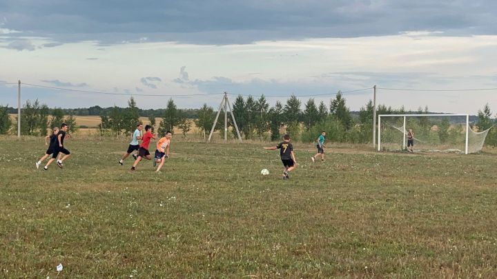 В Алькеевском районе прошло Первенство спортивной школы