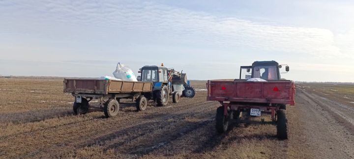 В Алькеевском районе  проводят подкормку посевов