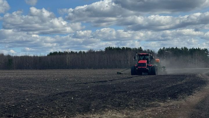 Муниципальные районы Республики уже полностью завершили подкормку озимых