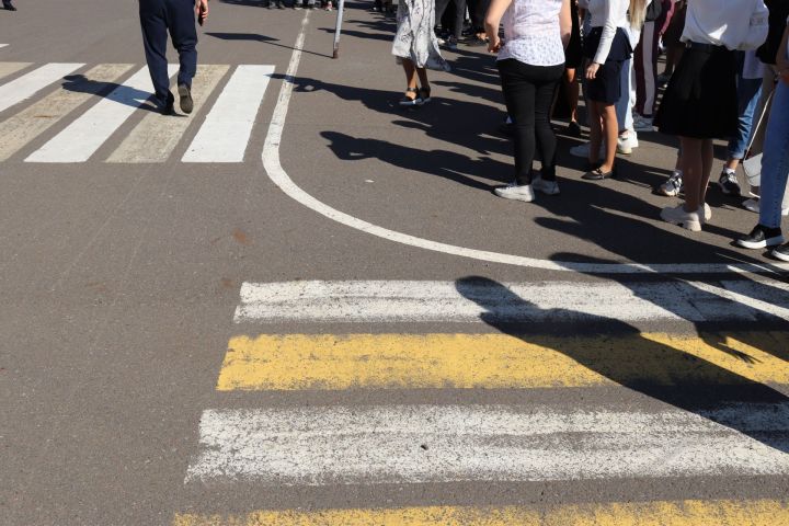 В Алькеевском районе подвели итоги мероприятия «Пешеход»