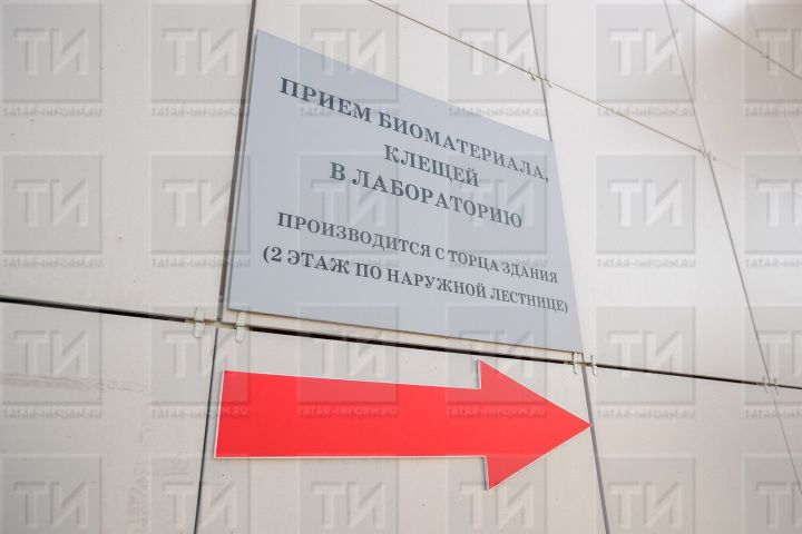 Әлки районында узган ел 20 кешегә талпан кадалган