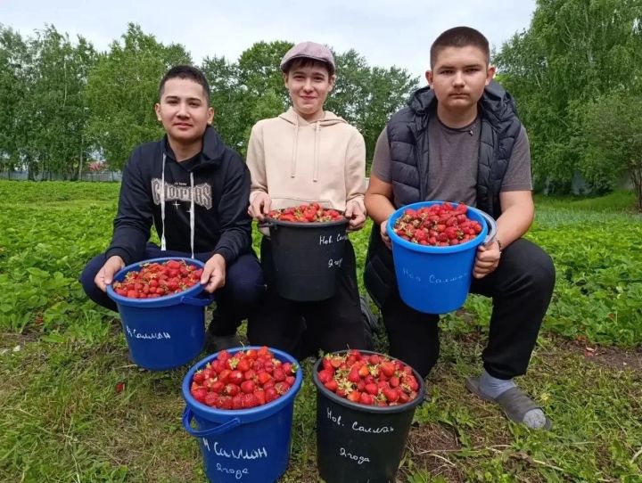 Новосалмановская школа инвестирует в образование