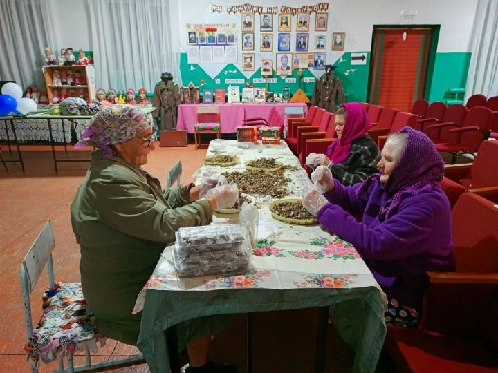 В учреждениях культуры Алькеевского района — время общего дела