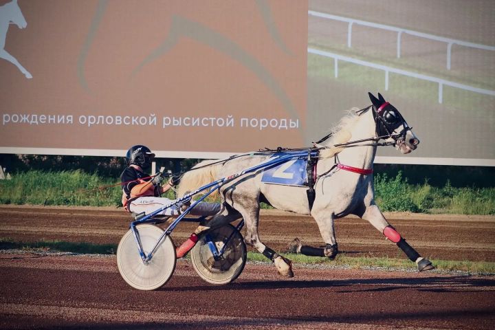 Алькеевский район: наша Дарина – третий призёр