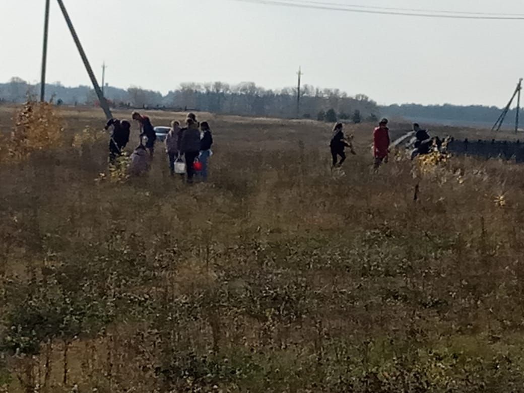 В Алькеевском районе заложен дендропарк