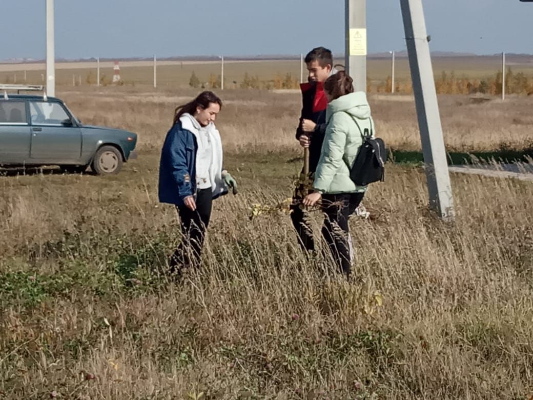 В Алькеевском районе заложен дендропарк