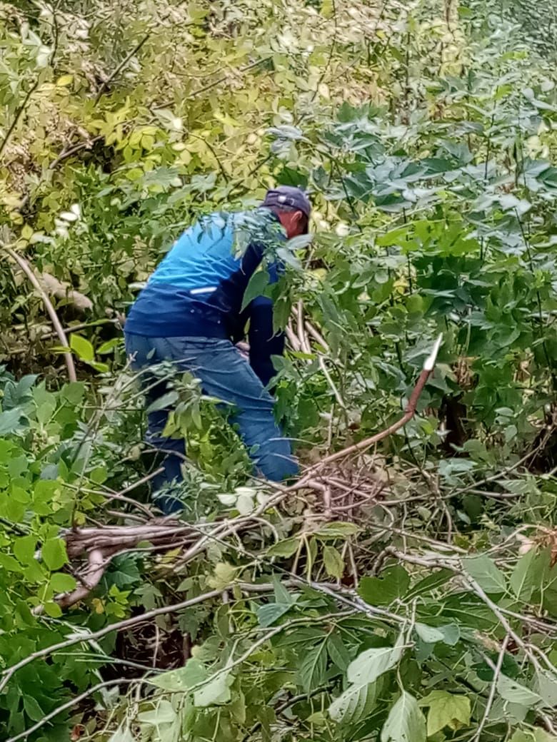 В Алькеевском районе проводится акция «Чистые берега»