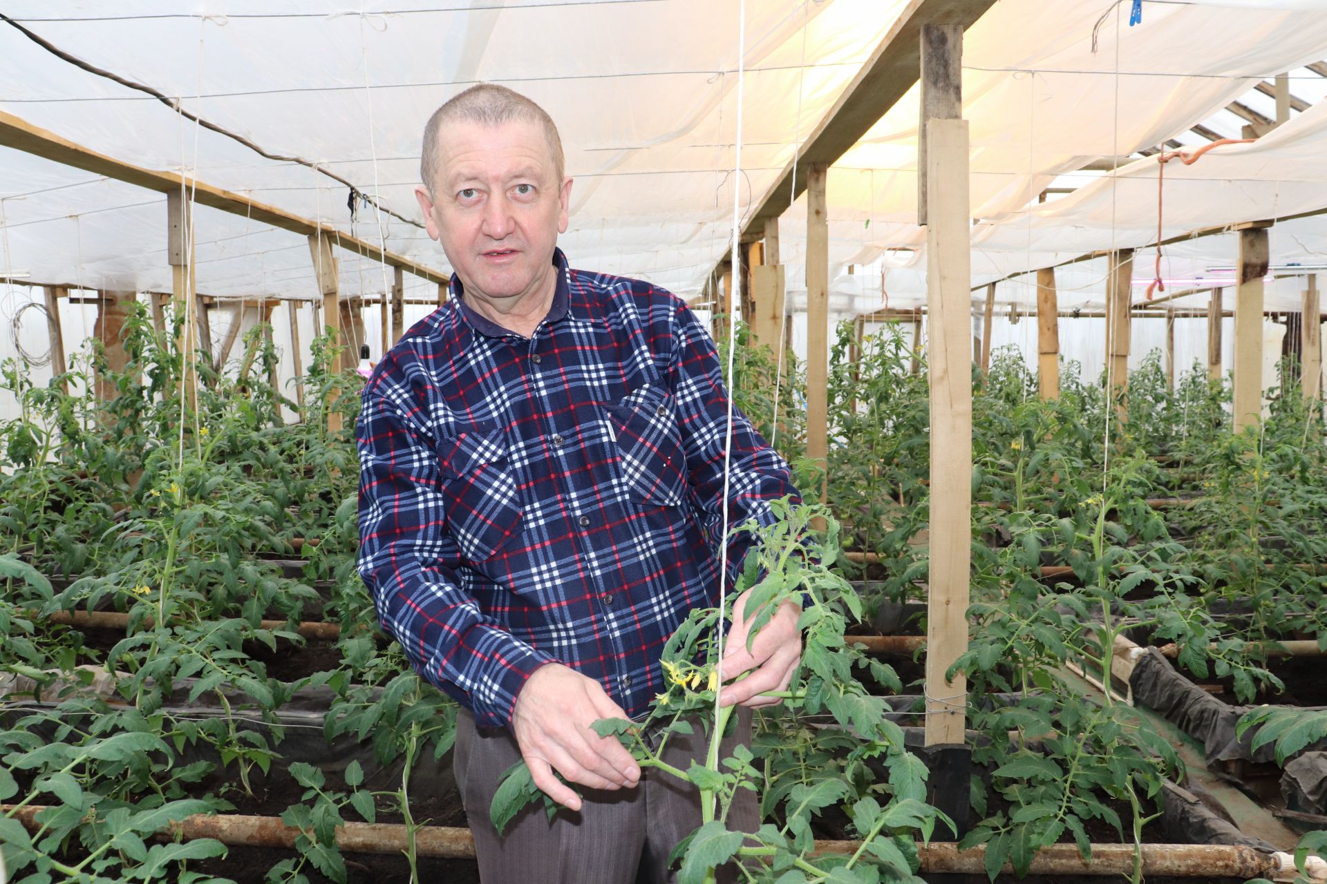 Предприниматель из Алькеевского района Надыр Зайнуллин над своим гаражом выращивает огурцы и помидоры