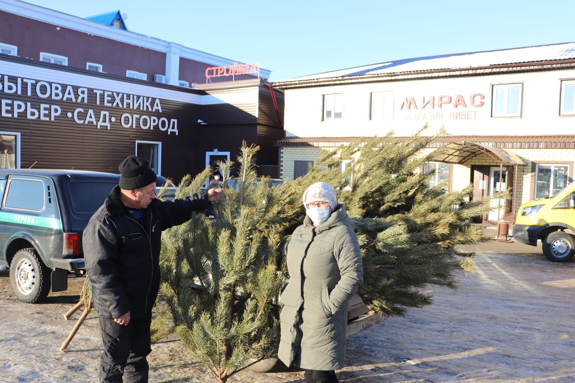 Алькеевский район: сосны и ели уже поступили в продажу