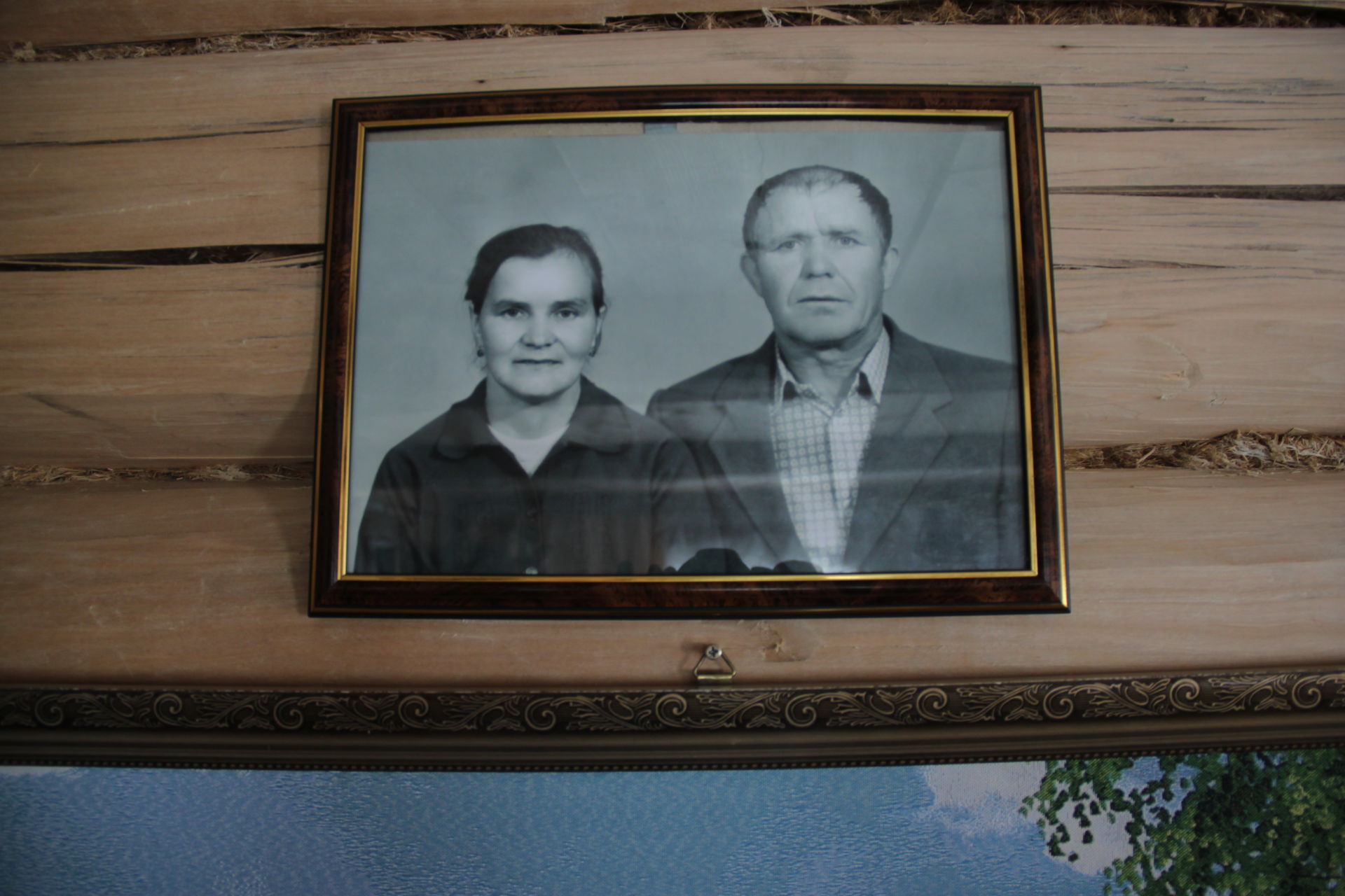 Семья из Нижнего Алькеево награждена медалью "За любовь и верность"