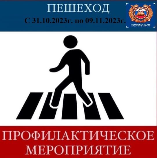 В Алькеевском районе проходит профилактическое мероприятие «Пешеход»