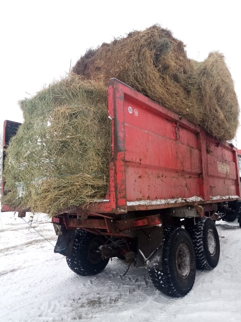 В Юхмачах состоялась сельхоз ярмарка