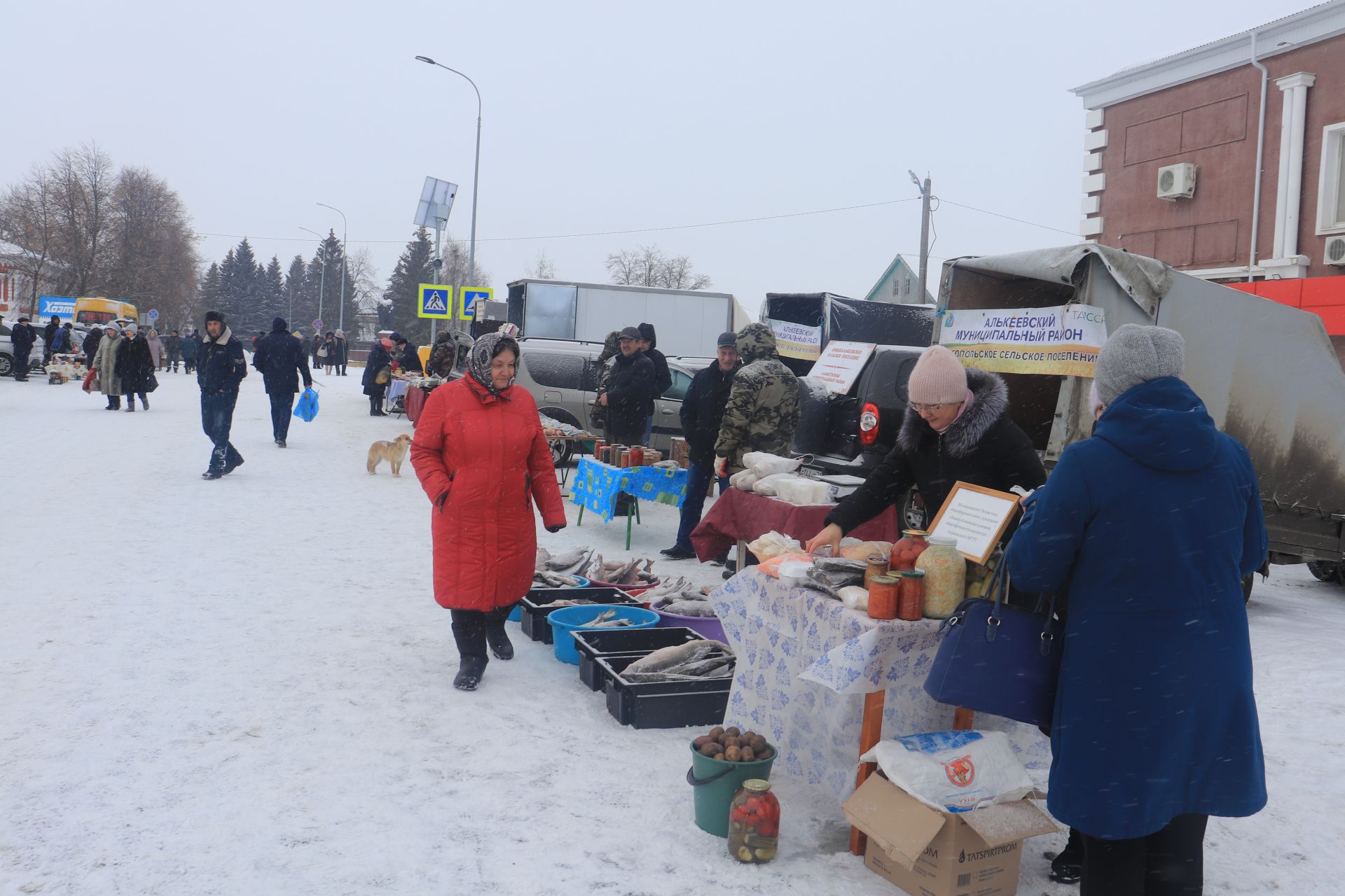 Базарлы Матакта Май чабу бәйрәме үткәрелде
