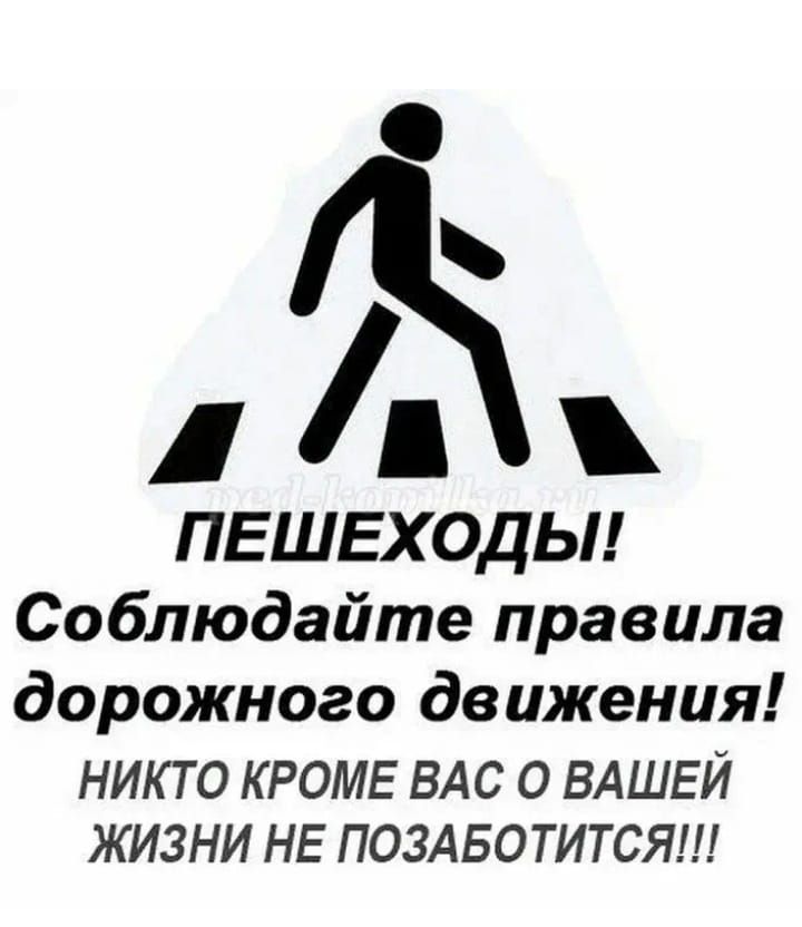 Безопасность на дороге зависит в совокупности и от пешеходов, и от водителей