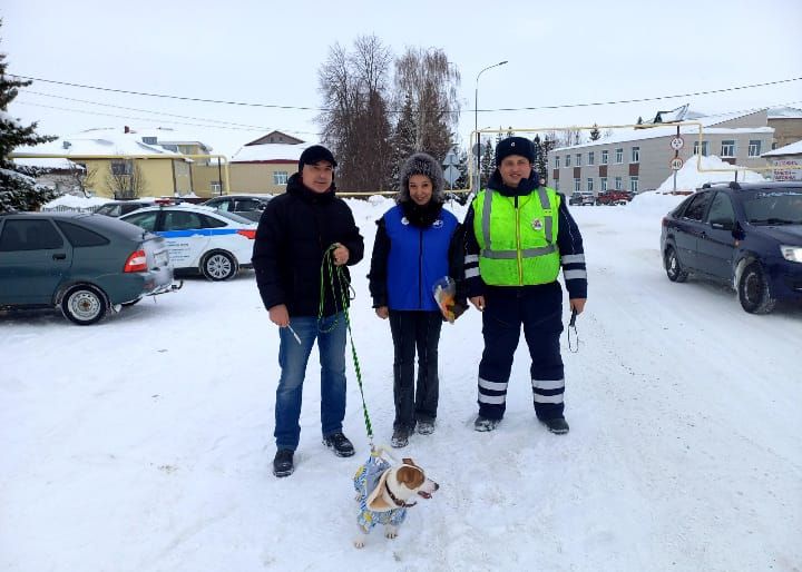Школьники, водители и пешеходы приняли участие в практическом занятии по применению световозвращающих элементов