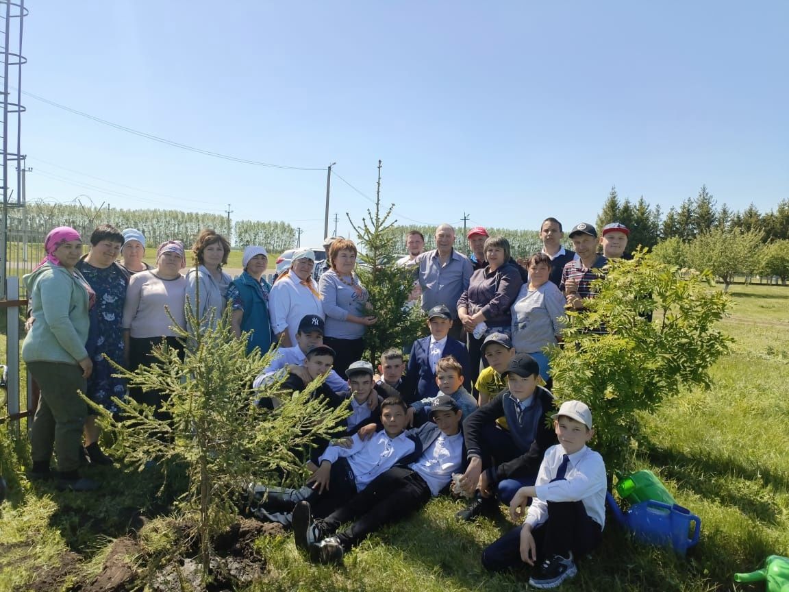 Әсхәт Хисмәтов Түбән Әлки авылының мәктәп бакчасына чыршылар утыртты