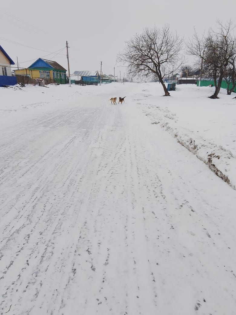 Борискино авыл җирлегендә 8 халык вәкиле гомер итә
