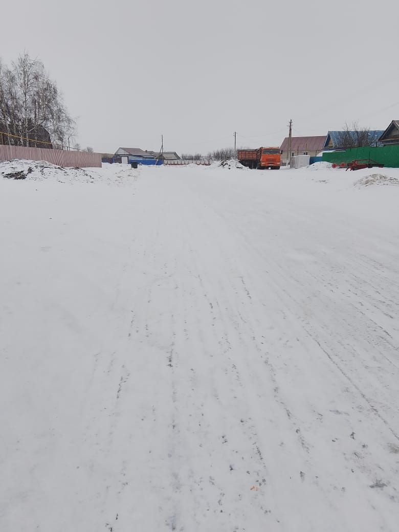 Борискино авыл җирлегендә 8 халык вәкиле гомер итә