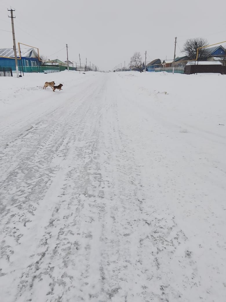 Борискино авыл җирлегендә 8 халык вәкиле гомер итә