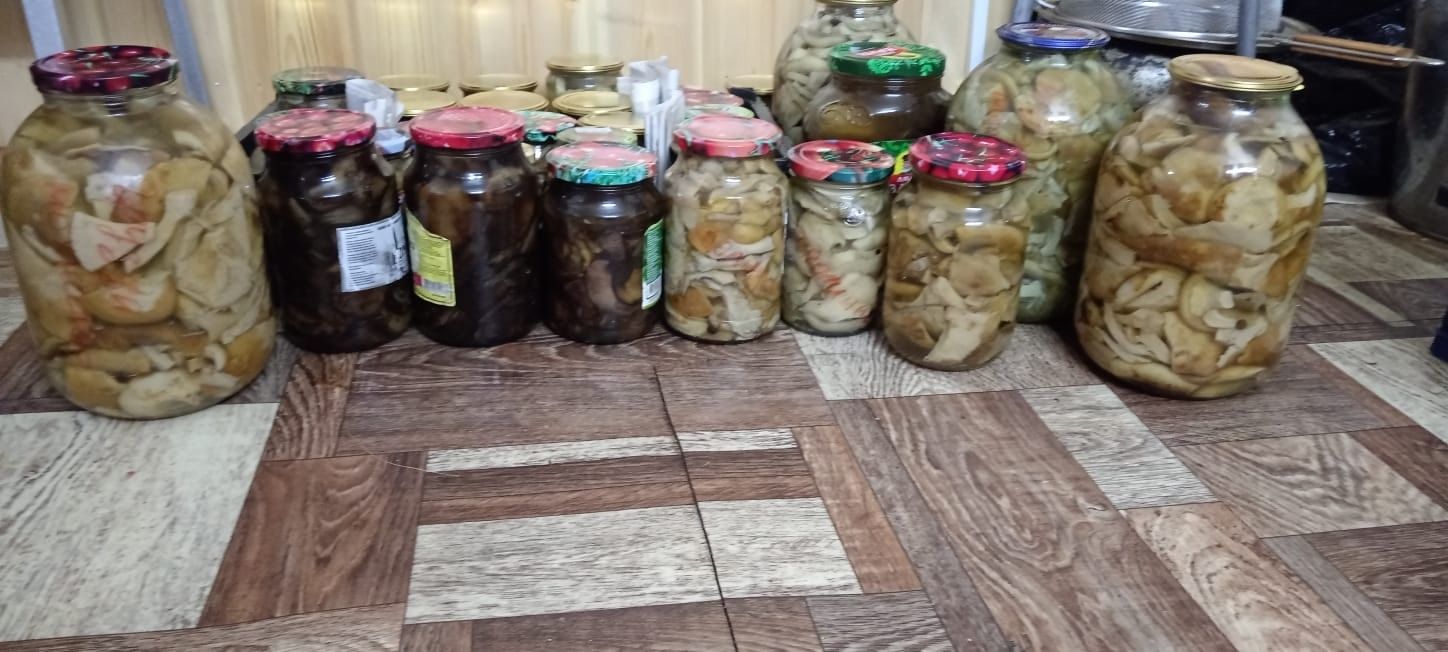 Надежда Турова, из села Демидовка, собирает грибы, заготавливает гренки, варит салаты для СВО