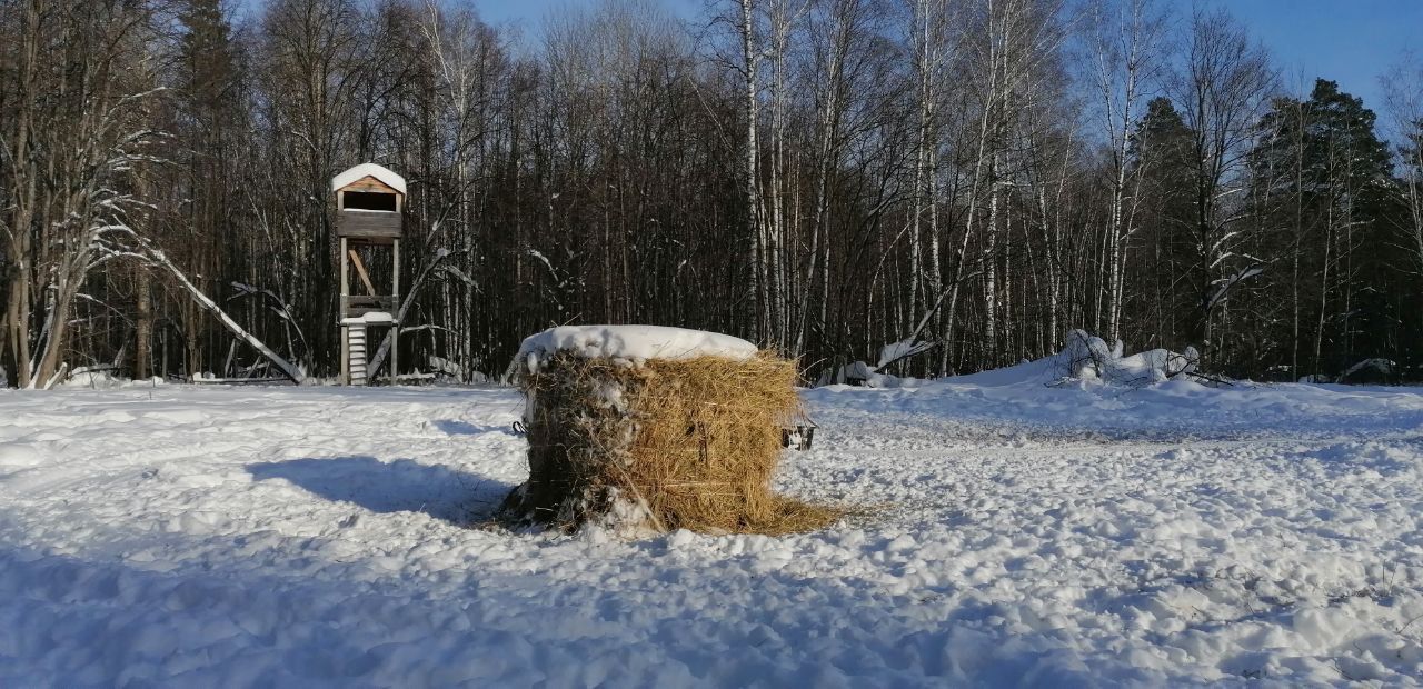 Алькеевском районе завершился зимний маршрутный учёт животных и птиц