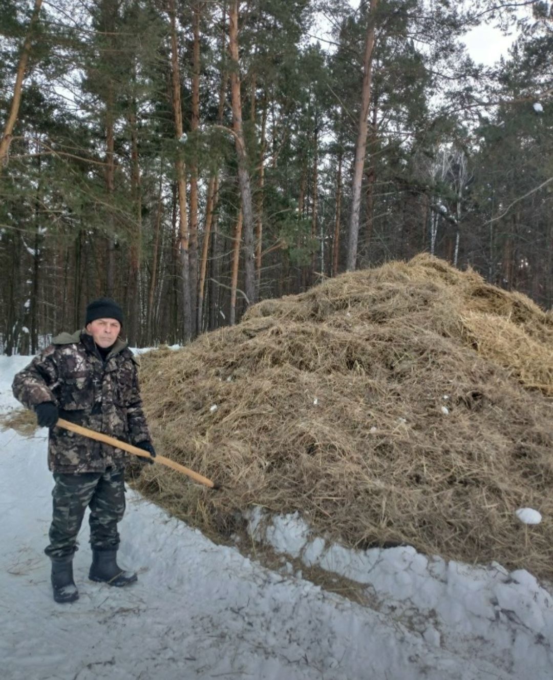 Әлки урманчылыгында язгы урман культуралары чорына әзерләнәләр
