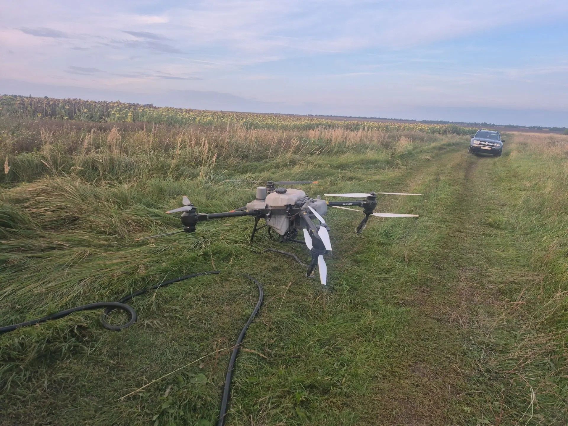 На полях Алькеевского района началась десикация