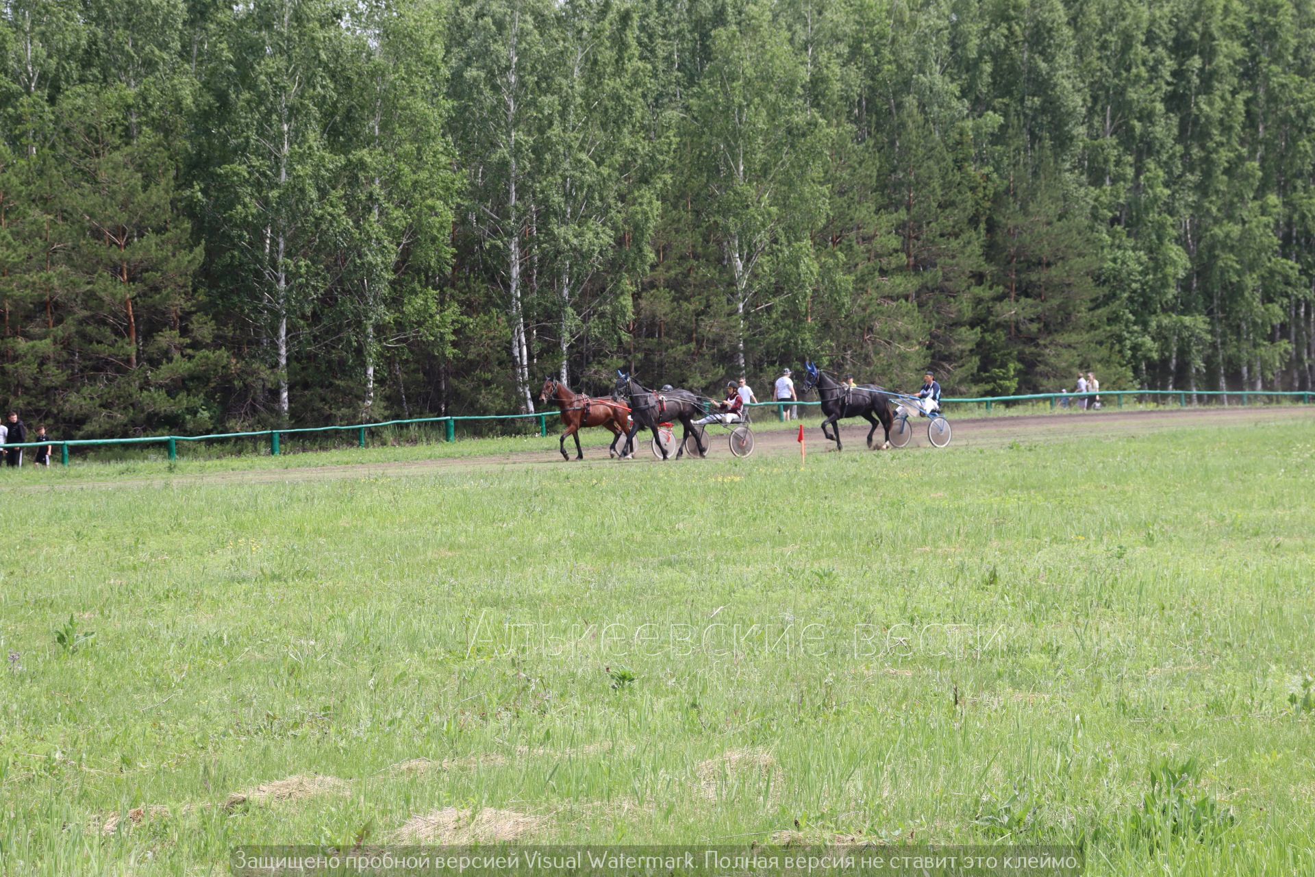 Сабантуй в Алькеевском районе 2024