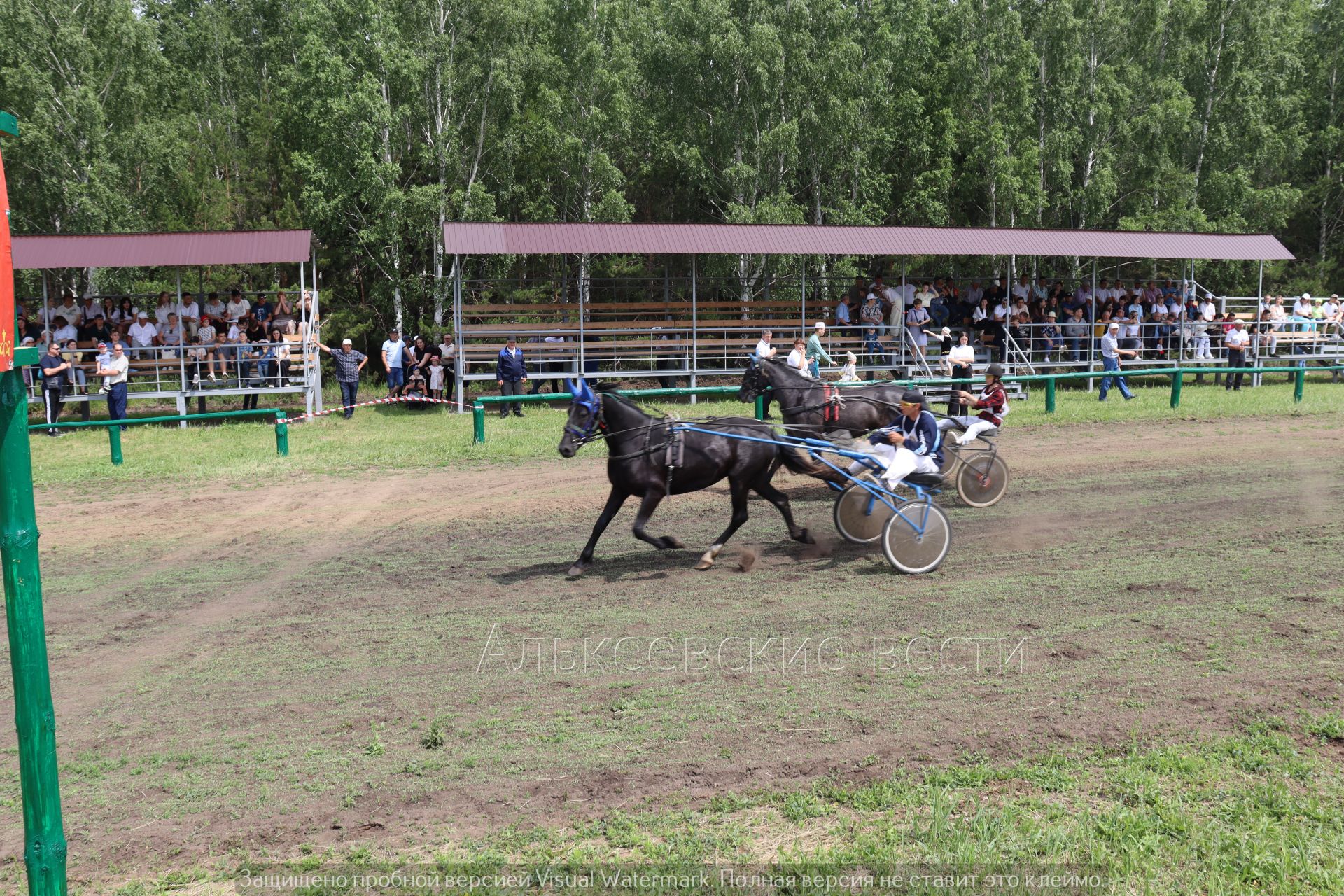 Сабантуй в Алькеевском районе 2024