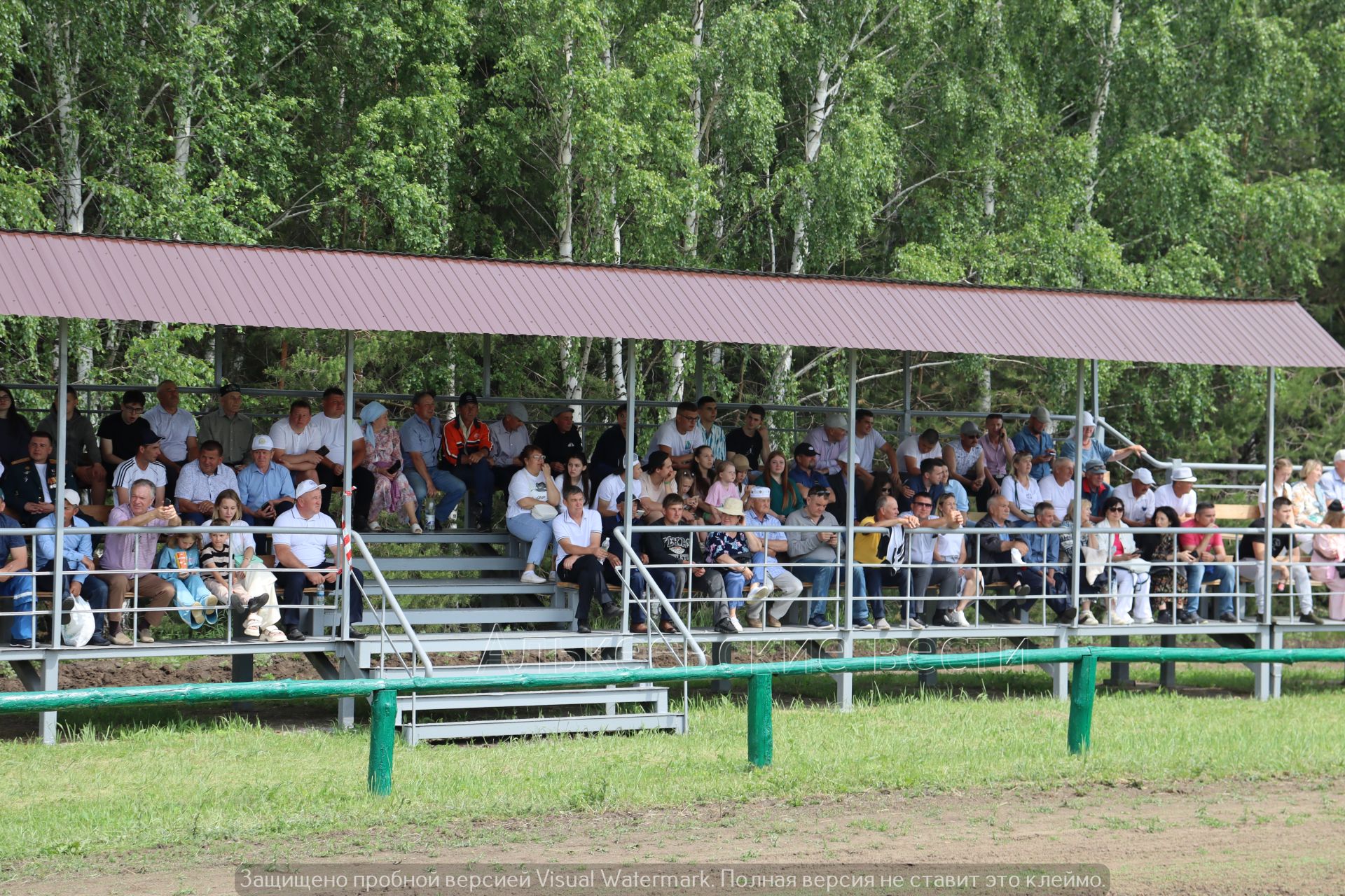 Сабантуй в Алькеевском районе 2024